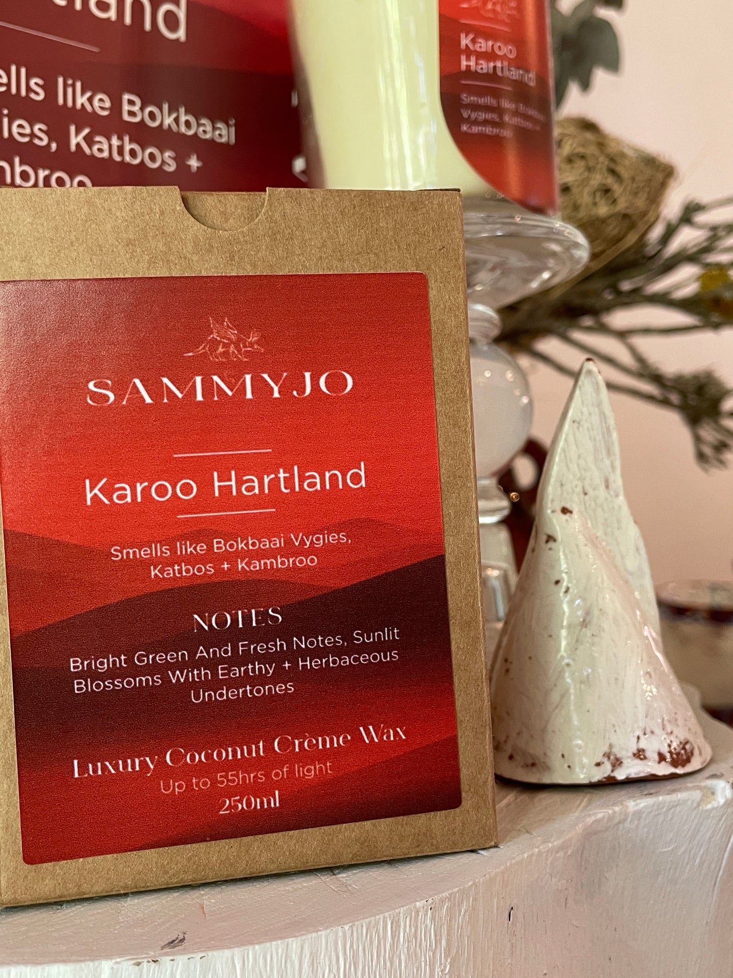 Karoo Hartland Candle in a Jar