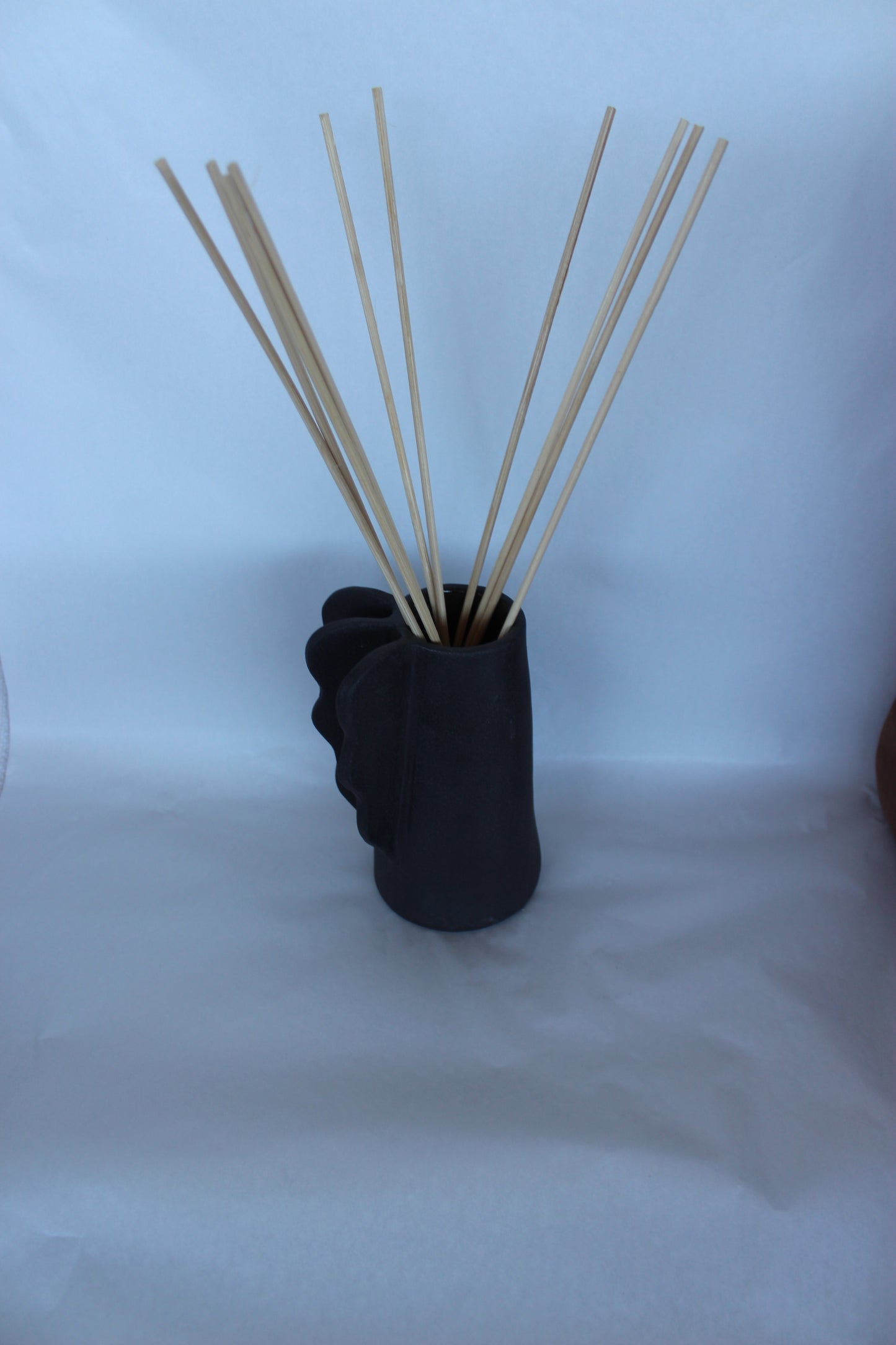 Diffuser sticks