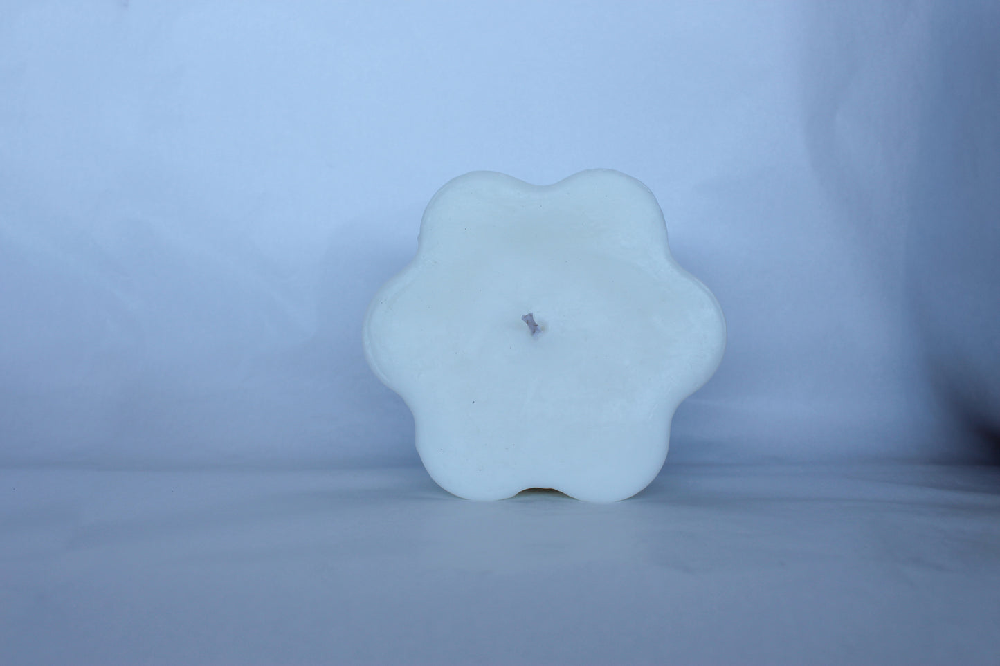 Bug Candle